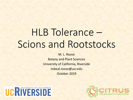 HLB Tolerance – Scions and Rootstocks M