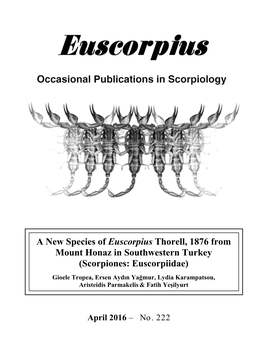 A New Species of Euscorpius Thorell, 1876 from Mount Honaz in Southwestern Turkey (Scorpiones: Euscorpiidae)