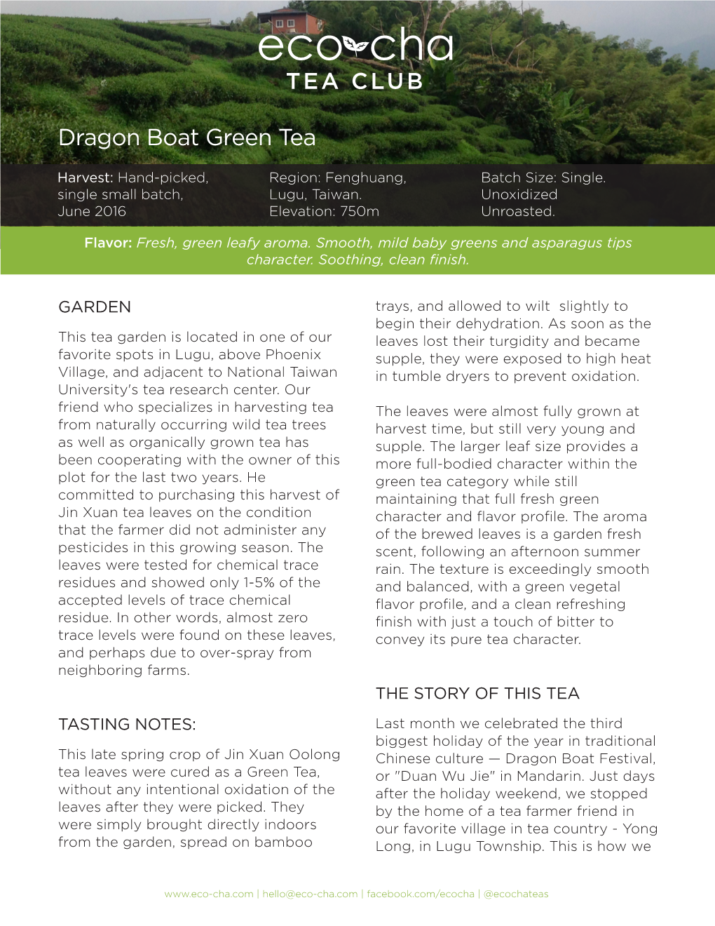 Dragon Boat Green Tea