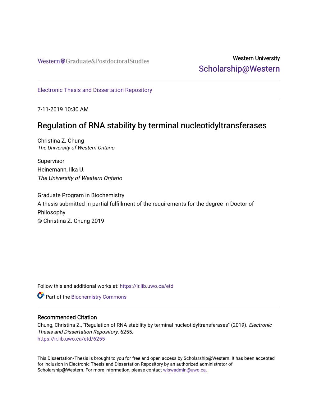 Regulation of RNA Stability by Terminal Nucleotidyltransferases