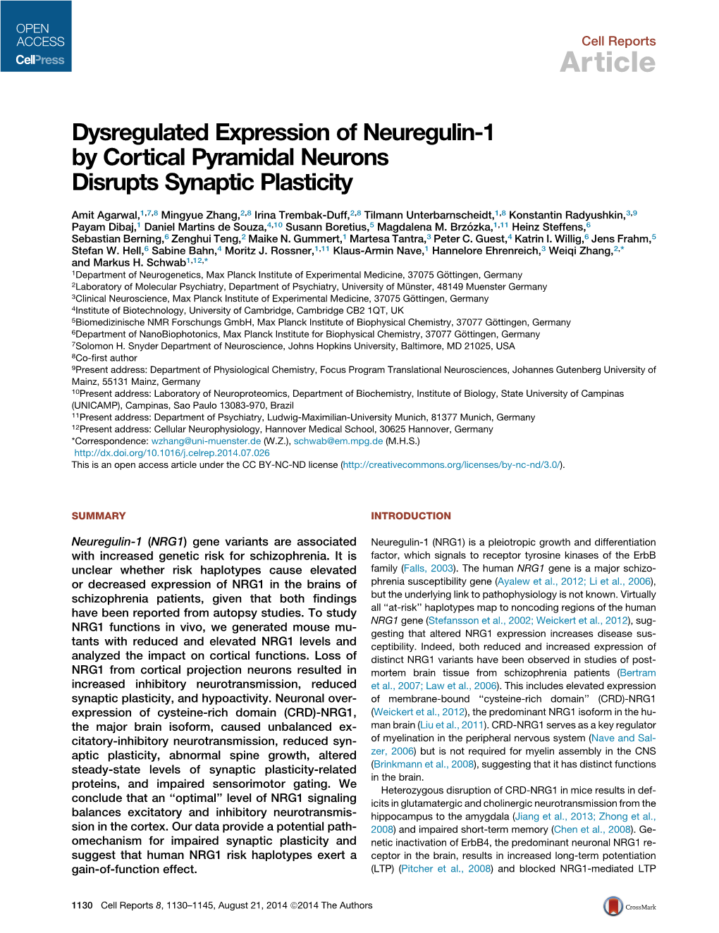 Dysregulated Expression of Neuregulin-1 by Cortical Pyramidal Neurons Disrupts Synaptic Plasticity