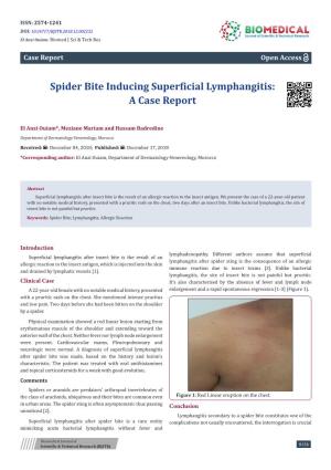 Spider Bite Inducing Superficial Lymphangitis: a Case Report