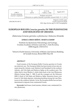 EUROPEAN ROLLER Coracias Garrulus in the PLEISTOCENE and HOLOCENE of CROATIA