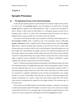 Synaptic Processes