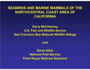 Seabirds and Marine Mammals of the North/Central Coast Area of California