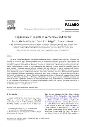 Taphonomy of Insects in Carbonates and Amber
