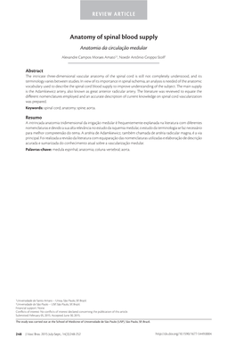 Anatomy of Spinal Blood Supply Anatomia Da Circulação Medular