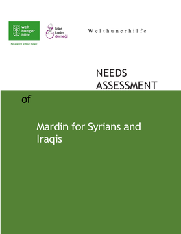 NEEDS ASSESSMENT of Mardin for Syrians and Iraqis