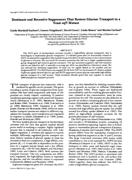 Dominant and Recessive Suppressors That Restore Glucose Transportin a Yeast Snf3 Mutant