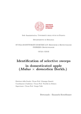 Identification of Selective Sweeps in Domesticated