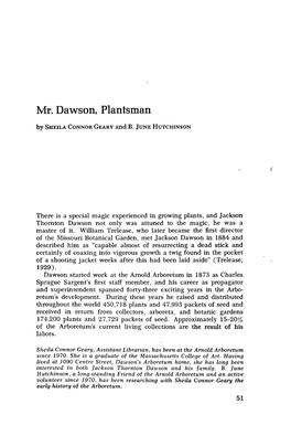 Mr. Dawson, Plantsman Sheila Connor Geary &