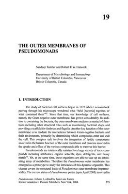 The Outer Membranes of Pseudomonads