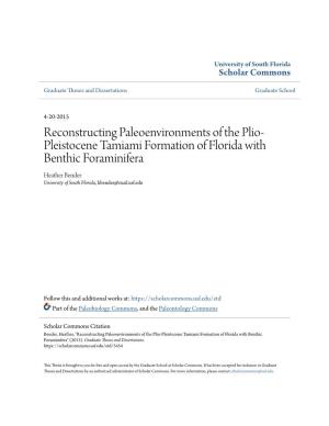 Reconstructing Paleoenvironments of the Plio-Pleistocene Tamiami Formation of Florida with Benthic Foraminifera" (2015)