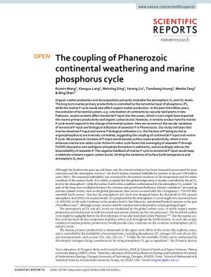 The Coupling of Phanerozoic Continental Weathering and Marine