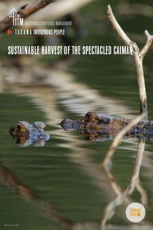 Sustainable Harvest of the Spectacled Caiman