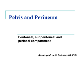 Peritoneal Cavity of Pelvis