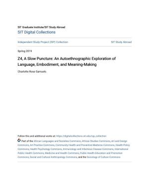 Z4, a Slow Puncture: an Autoethnographic Exploration of Language, Embodiment, and Meaning-Making