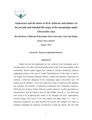 Adolescence and the Desire to Fit In: Behavior and Mimicry in the Juvenile and Subadult Life Stages of the Mesopelagic Squid, Chiroteuthis Calyx