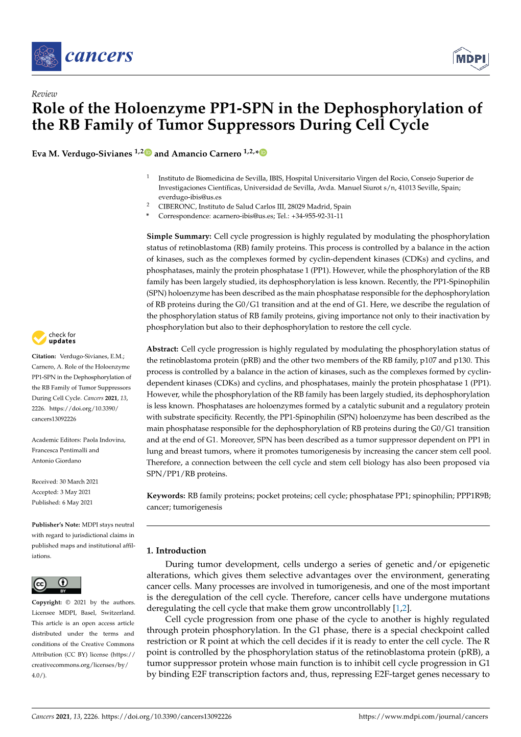 Role of the Holoenzyme PP1-SPN in the Dephosphorylation of the RB Family of Tumor Suppressors During Cell Cycle