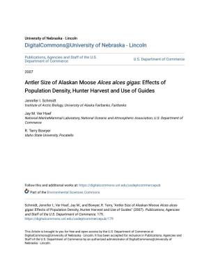 Antler Size of Alaskan Moose Alces Alces Gigas: Effects of Population Density, Hunter Harvest and Use of Guides