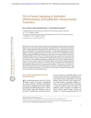 TGF-B Family Signaling in Epithelial Differentiation and Epithelial–Mesenchymal Transition