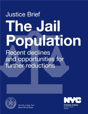 Justice Brief Recent Declines and Opportunities for Further Reductions