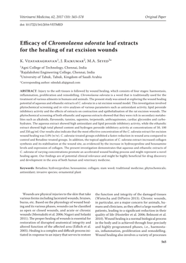 Efficacy of Chromolaena Odorata Leaf Extracts for the Healing of Rat Excision Wounds