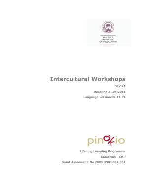 Intercultural Workshops