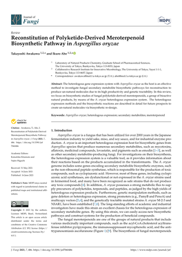 Reconstitution of Polyketide-Derived Meroterpenoid Biosynthetic Pathway in Aspergillus Oryzae