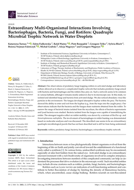 Extraordinary Multi-Organismal Interactions Involving Bacteriophages, Bacteria, Fungi, and Rotifers: Quadruple Microbial Trophic Network in Water Droplets