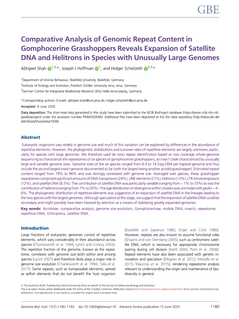 Comparative Analysis of Genomic Repeat Content in Gomphocerine Grasshoppers Reveals Expansion of Satellite DNA and Helitrons in Species with Unusually Large Genomes