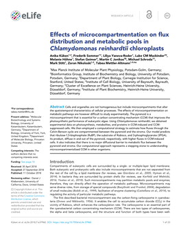 Effects of Microcompartmentation on Flux Distribution and Metabolic Pools