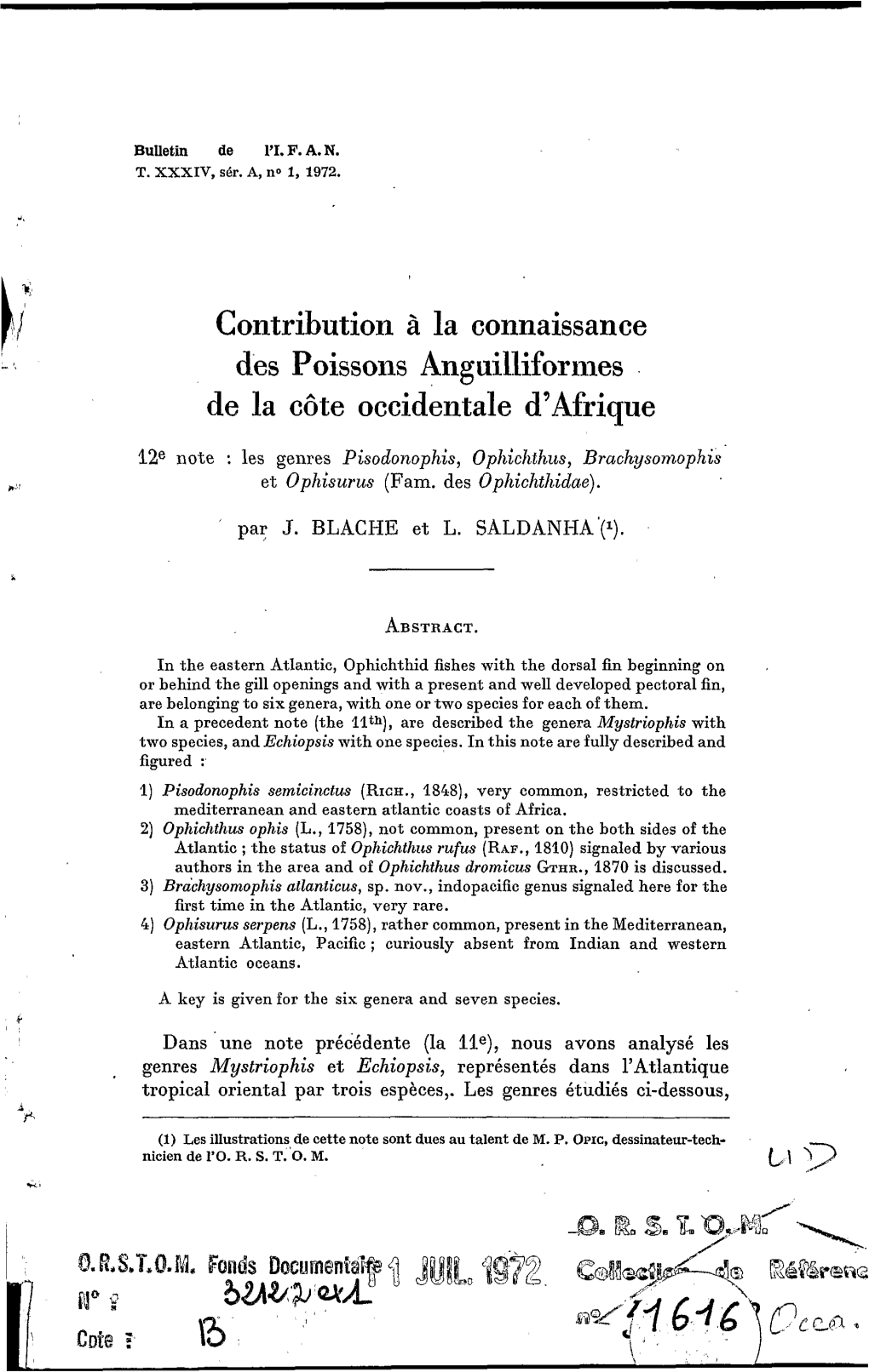 Contribution À La Connaissance Des Poissons Anguilliformes De