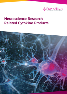 Neuroscience Booklet Updated.Indd
