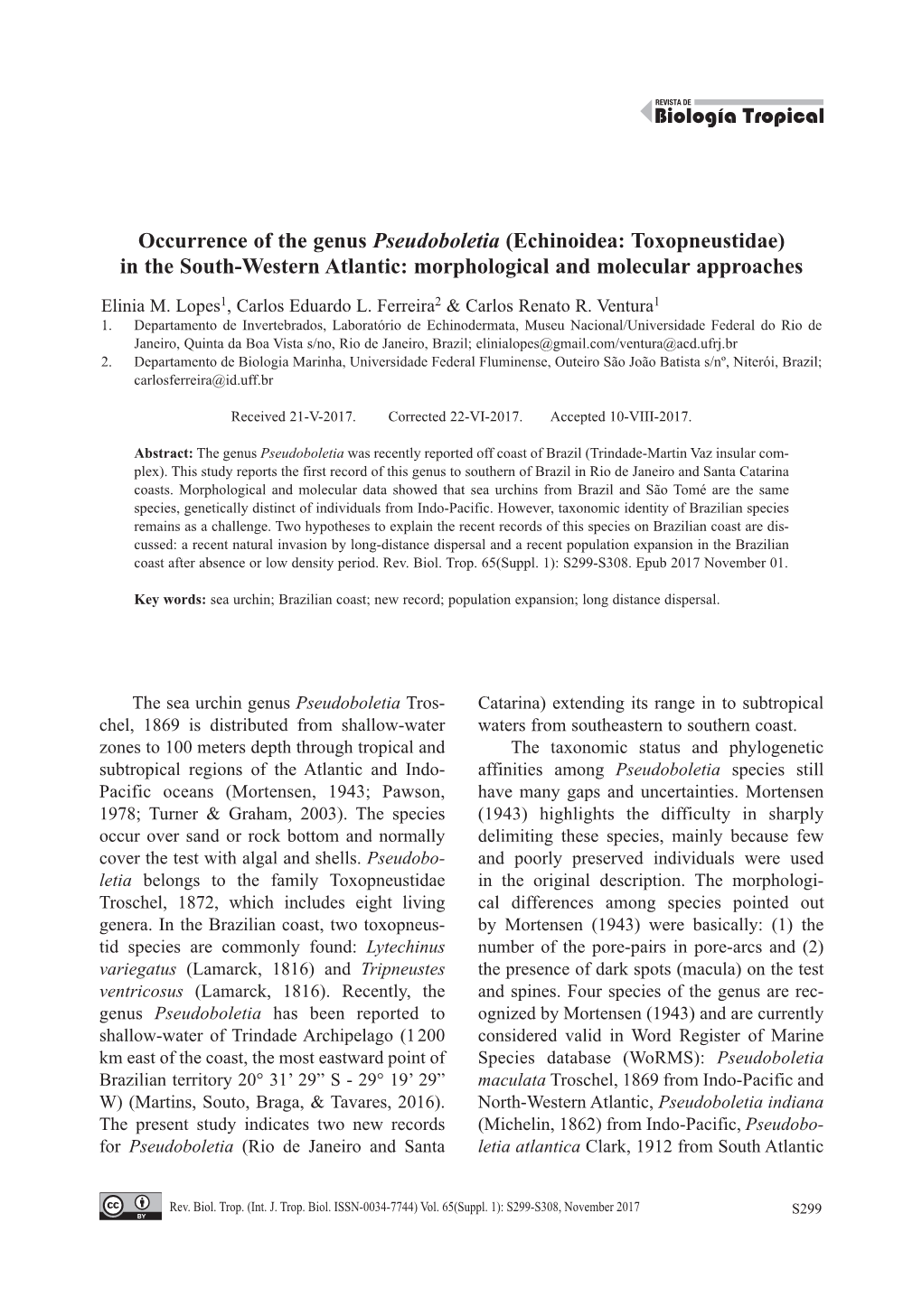 (Echinoidea: Toxopneustidae) in the South-Western Atlantic: Morphological and Molecular Approaches