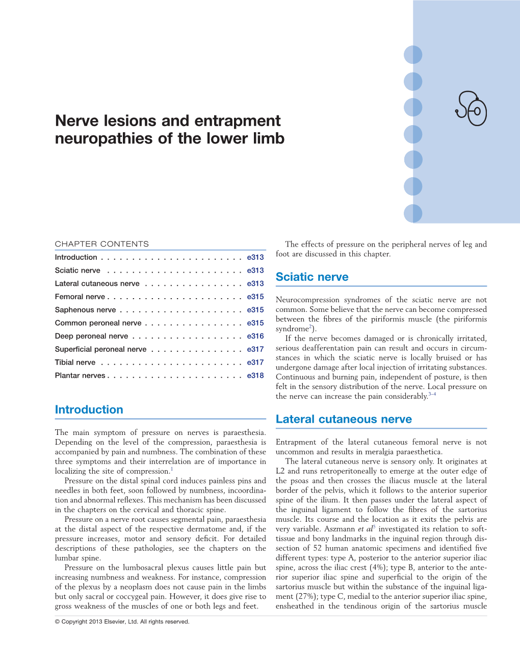 nerve-lesions-and-entrapment-neuropathies-of-the-lower-limb-docslib