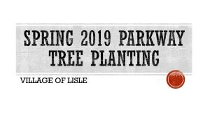 Spring 2018 Parkway Tree Planting