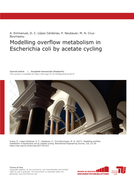 Modelling Overflow Metabolism in Escherichia Coli by Acetate Cycling