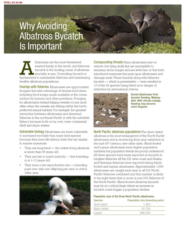 Why Avoiding Albatross Bycatch Is Important