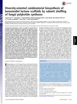 Diversity-Oriented Combinatorial Biosynthesis of Benzenediol Lactone Scaffolds by Subunit Shuffling of Fungal Polyketide Synthases