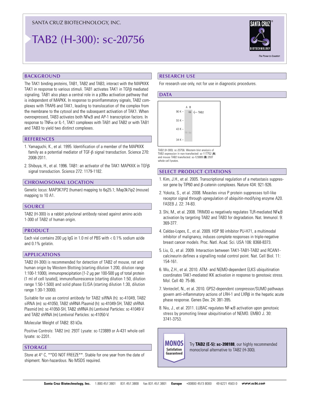 Datasheet Blank Template