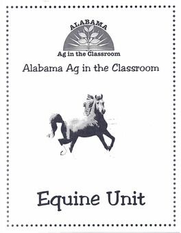 Equine Unit • • • • ••••••••••••••••••••••••••••••••••• a Horse of a Different Color