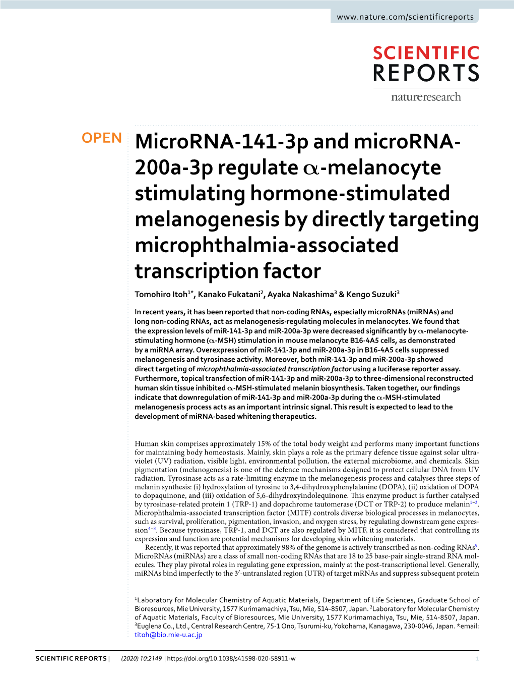 200A-3P Regulate Α-Melanocyte Stimulating Hormone