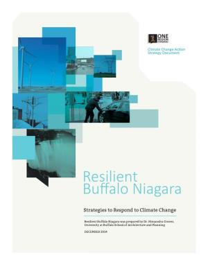 Resilient Buffalo Niagara