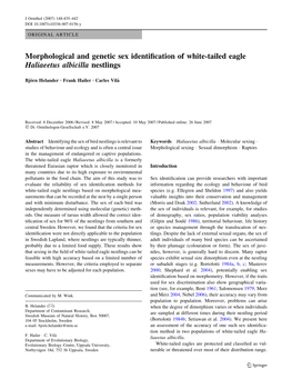 Morphological and Genetic Sex Identification of White-Tailed Eagle
