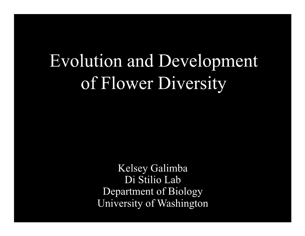 Evolution and Development of Flower Diversity