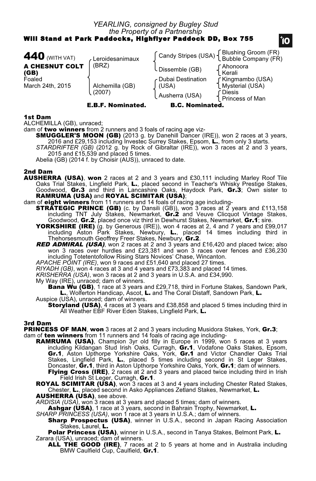 YEARLING, Consigned by Bugley Stud the Property of a Partnership Will Stand at Park Paddocks, Highflyer Paddock DD, Box 755