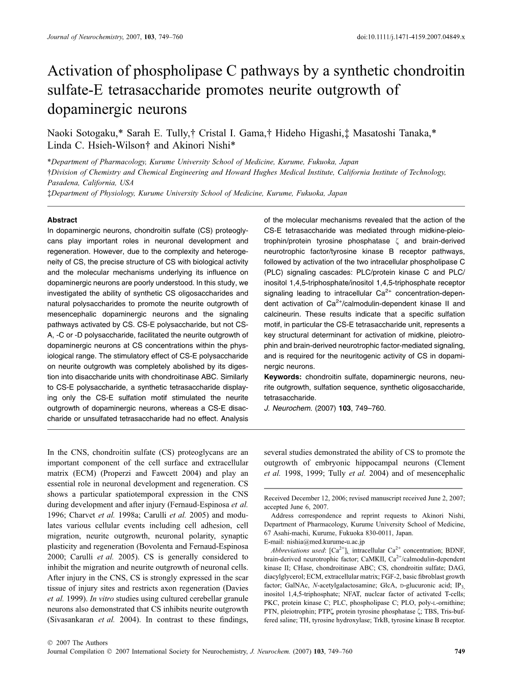 Activation of Phospholipase C Pathways by a Synthetic Chondroitin Sulfate-E Tetrasaccharide Promotes Neurite Outgrowth of Dopaminergic Neurons