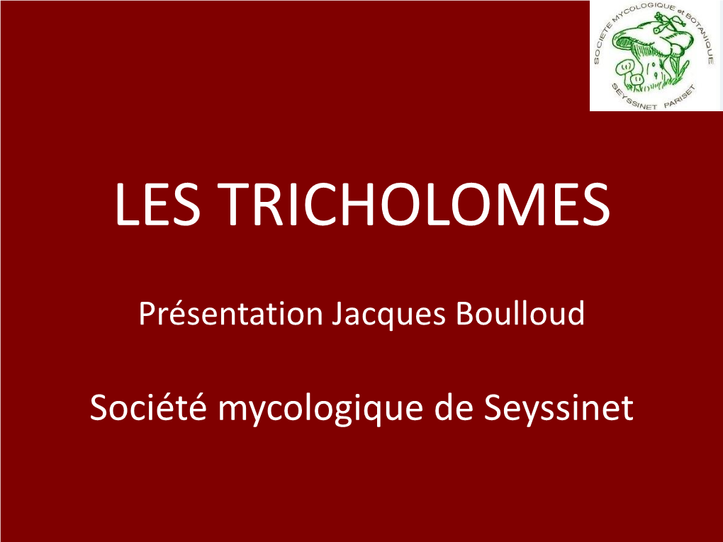 Tricholoma Sulfureum (T