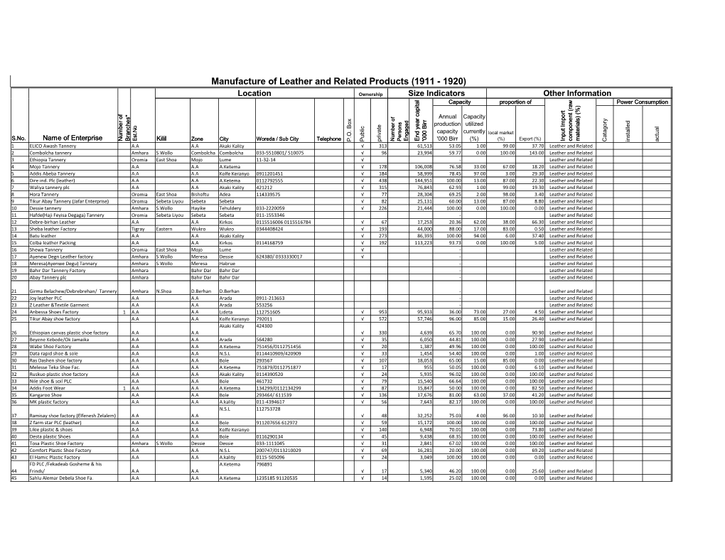 LM Scale Leather Manufacturing Industries in Ethiopia